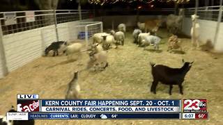 Kern County Fair opens today, petting zoo & carnival rides