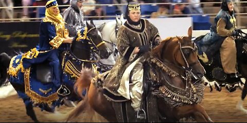 Scottsdale Arabian Horse Show | February 15th - 25th, 2024
