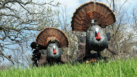 The Outdoors Indoors: Reaping Turkeys! Yes or No? Debate us Live!