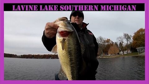 Lavine Lake Michigan Fall Fishing