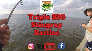 3 BIG Stingray BATTLES!!