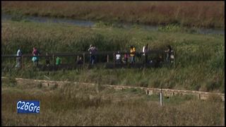 Legislature passes bill allowing utilities to fill wetlands