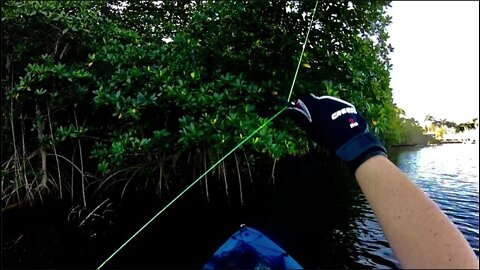 Removing Lots of Fishing Line From New River in Fort Lauderdale Florida