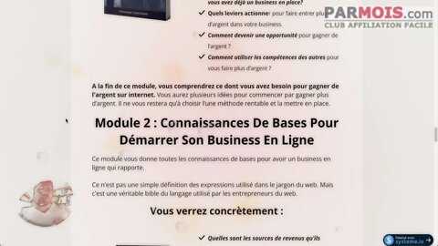 AFRIQUE : Business Internet En Afrique Ebook