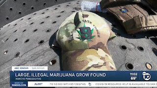 Large, illegal marijuana grow found