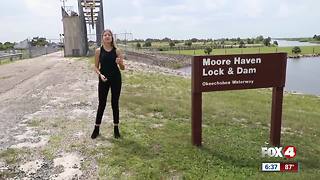 History of Lake Okeechobee, algae blooms (Part 1)