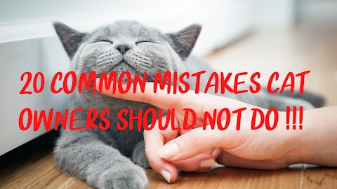 20 Common Mistakes Cat Owners Should Not Do !!!