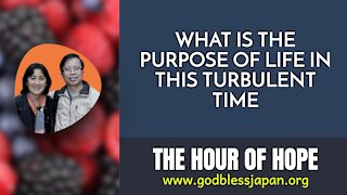 WHAT IS THE PURPOSE OF LIFE IN THIS TURBULENT TIME