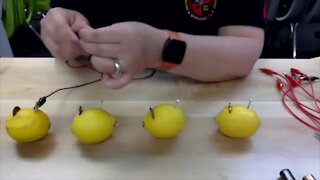 Science Sundays: How to Make a Lemon Battery (Full Experiment)