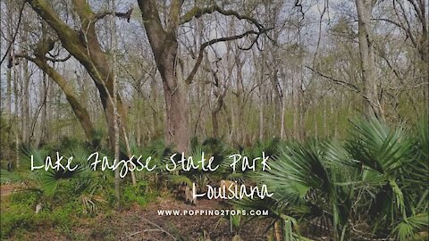 Lake Fausse State Park | Camping Close to Home