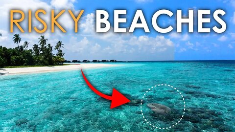 THE MOST RISKY BEACHES IN THE WORLD | DANGEROUS PLACES NEAR THE OCEAN | SCARIEST BEACHES