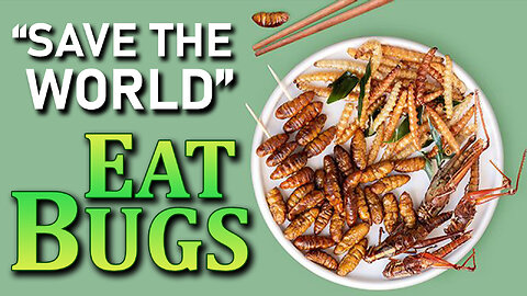 Save the World: Eat Bugs 03/25/2024