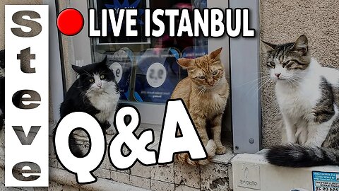 Q&A Istanbul Lockdown - Ask us Questions
