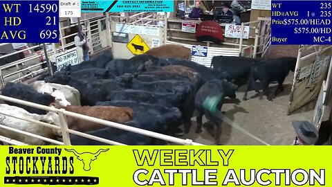 4/4/2023 - Beaver County Stockyards Livestock Auction