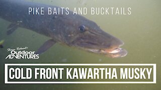 Cold Front Kawartha Lakes Musky Fishing - Ft. Al Slocombe - Summer 2021
