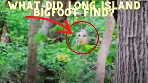What Did Long Island Bigfoot Find?
