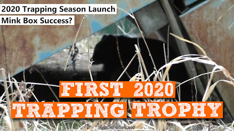 S2:E36 First 2020 Trapping Trophy Raccoon | Kids Outdoors