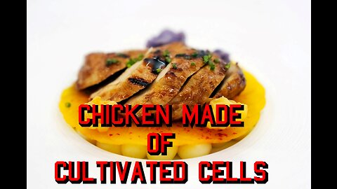 USDA Approves Chicken Made from Cultivated Cells