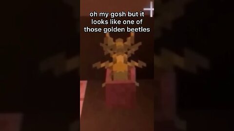 GOLDEN SCARAB 🪲✨ #shorts #minecraft #funnyminecraftshorts #minecraftfunny #beetle