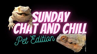 Sunday Chat and Chill : Pet Edition
