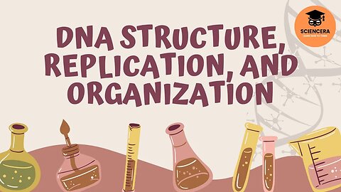 Biology: DNA Structure, Replication, and Organization - Sciencera