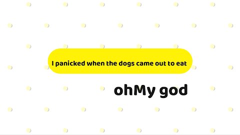 I panicked when the dogs came out to eat