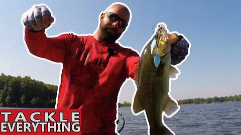 The EASIEST Way To Catch BASS In The FALL (Bass Fishing With Spinnerbaits) - Part 1