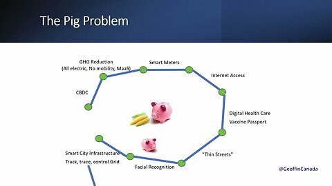 Smart Cities: The Pig Problem