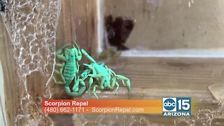 Scorpion Repel explains how they can help keep scorpions from entering your home for up to 3 years!