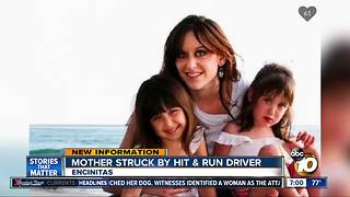 Mother struck by hit and run driver