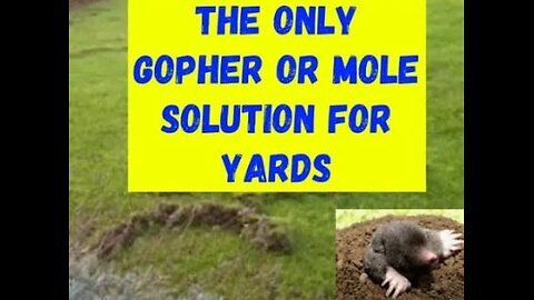 How to Get Rid of Gophers | Moles in Your Yard or Garden #viral #viralvideo #trending #home #diy