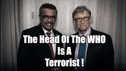 THE WHO TERRORIST CONNECTION!