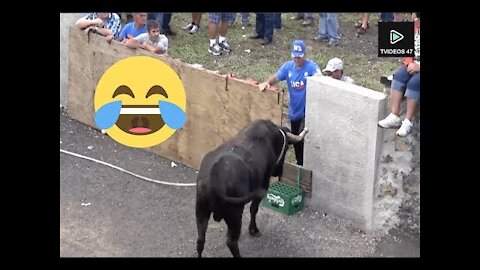 Dangerous Bull Fight Accidents Compilation