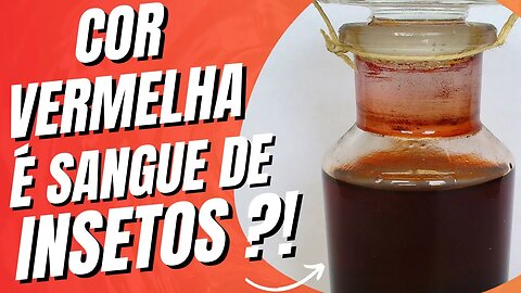 A VERDADE SOMBRIA SOBRE A COLORAÇÃO DE ALIMENTOS VERMELHOS COM PÓ DE INSETO DE CACTO! #vermelho