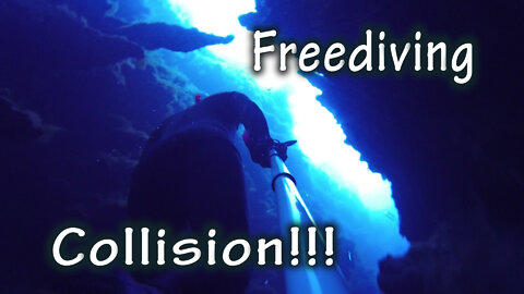 Freediving Collision!