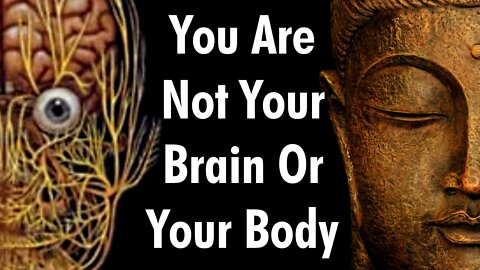You Are Not Your Brain Or Your Body by Tim Urban