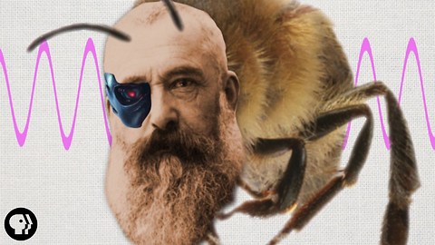 Claude Monet Was Half Honeybee