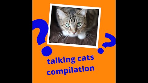 talking cats compilation
