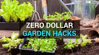 Quick and easy gardening tips | Rare Life