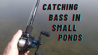 Catching Bass In Small Ponds #Bass Fishing