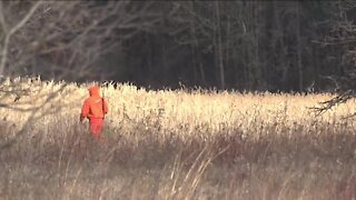 Deer Hunt In-Depth