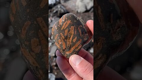 Orange feldspar crystals in porphyry - beach find!