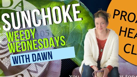 Sunchoke- Weedy Wednesdays