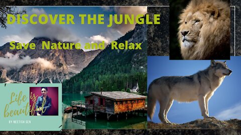 Jungle| Forest | Nature| Jungle book