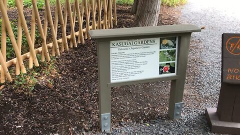 Tour Of KASAUGAI GARDENS Kelowna’s Japanese Garden