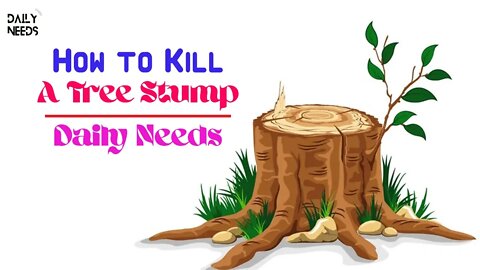 How to Kill a Tree Stump | 4 Ways to Kill a Tree Stump - Daily Needs Studio