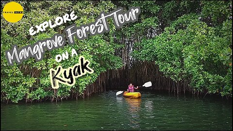 Mangrove Forest Varkala | Kyaking In Mangrove Forest Of Varkala | Mangrove Kyaking By Travel Yatra