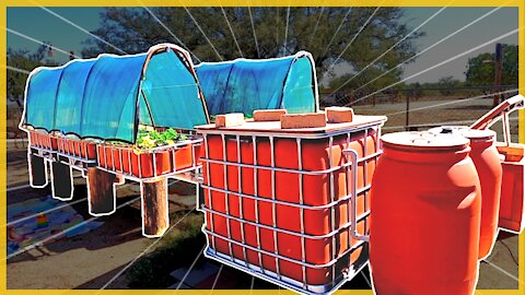 DIY 🌱 Aquaponics System Full Version of Finished Project | Complete Build