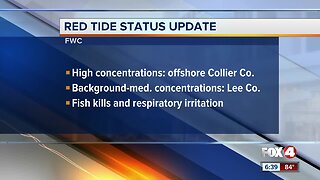 Red tide update Southwest Florida