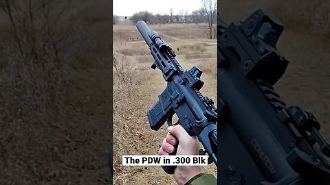 The .300 BLK PDW is one of the best defensive tools of the modern era.